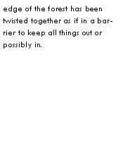 Text Box: edge of the forest has been twisted together as if in a barrier to keep all things out or possibly in. 